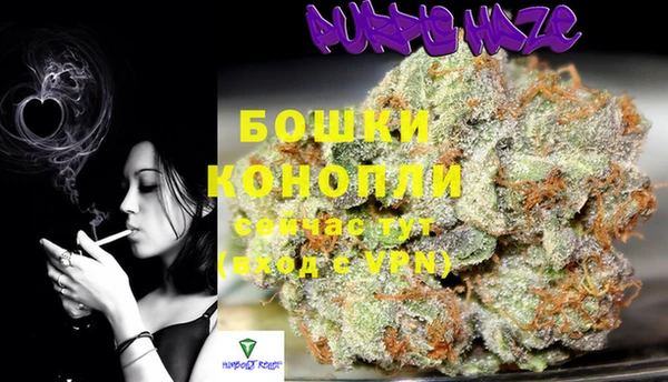 прущая мука Арсеньев