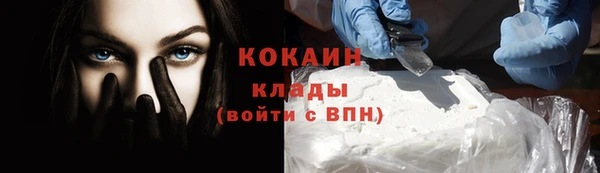 PSILOCYBIN Аркадак