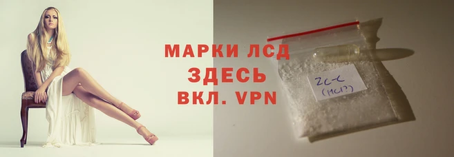PSILOCYBIN Аркадак