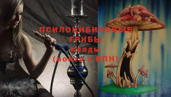 прущая мука Арсеньев