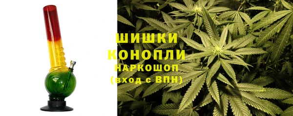 PSILOCYBIN Аркадак