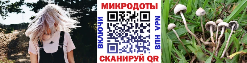 Псилоцибиновые грибы MAGIC MUSHROOMS omg ссылка Севск магазин продажи наркотиков